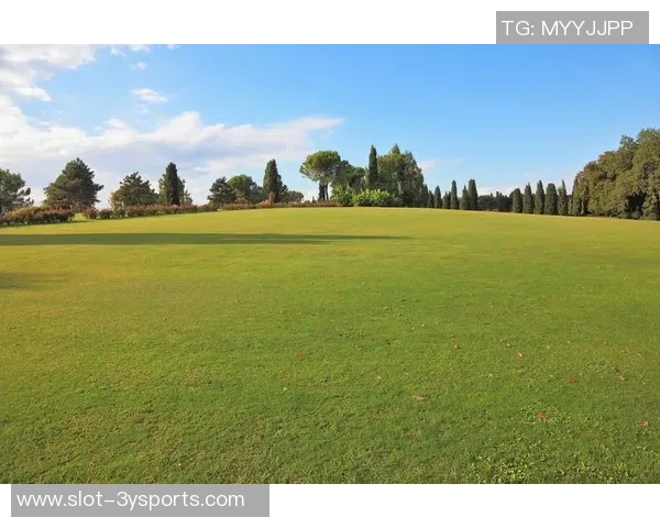 足球场铺草坪的科学与艺术如何提升比赛质量与观众体验 足球场铺草坪的科学与艺术如何提升比赛质量与观众体验